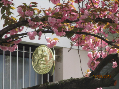 notaire saint egreve